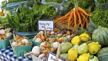 農(nóng)產(chǎn)品零售與批發(fā) 知名企業(yè)的市場策略與行業(yè)影響