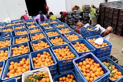 農(nóng)村消費(fèi)升級與渠道下沉加速下的農(nóng)產(chǎn)品零售物流新考驗(yàn)